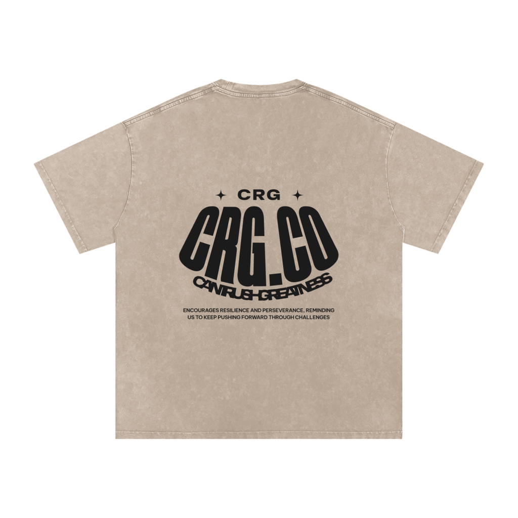 Snow Washed Oversized Cotton T-Shirt